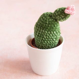 Anleitung Kaktus häkeln