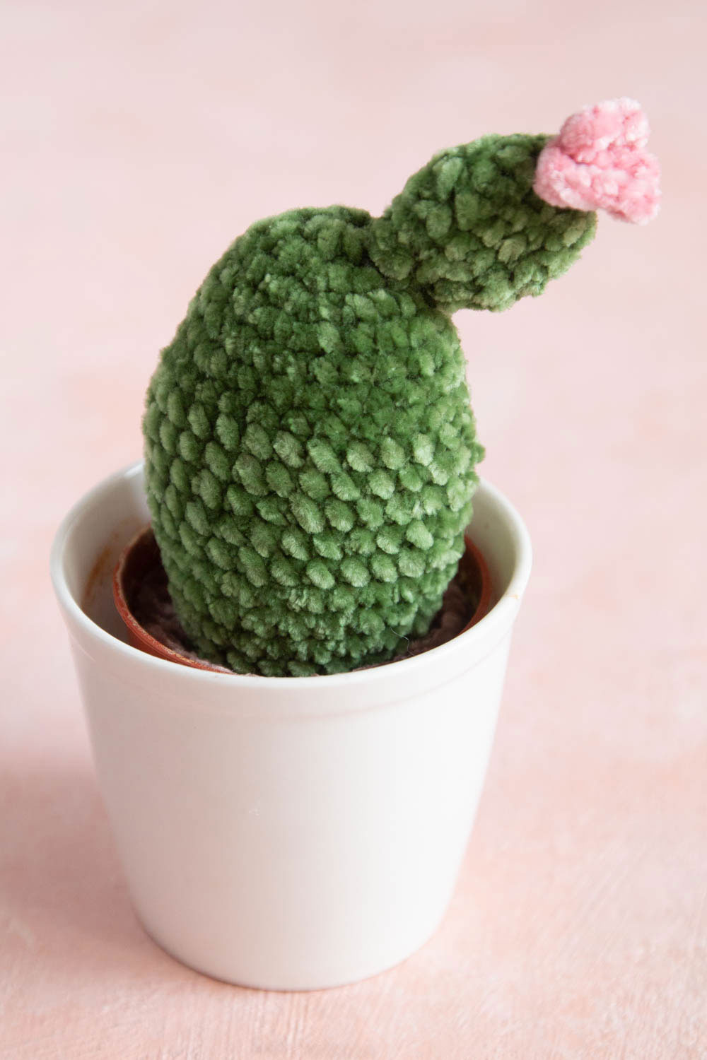 Kaktus häkeln - mit Schritt für Schritt Anleitung