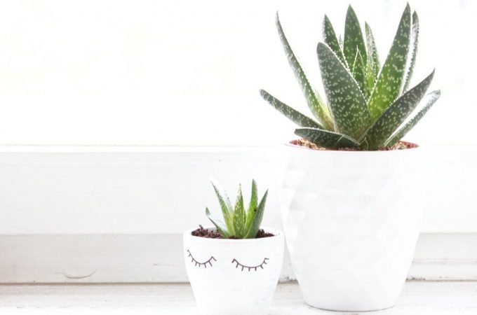 Blumentopf mit Schlafaugen