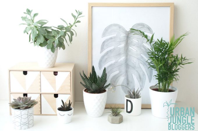 Pflanzen Deko - Urban Jungle Bloggers