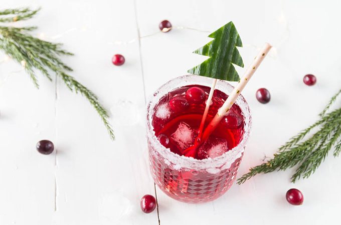 Weihnachtlicher Cranberry Gin Tonic
